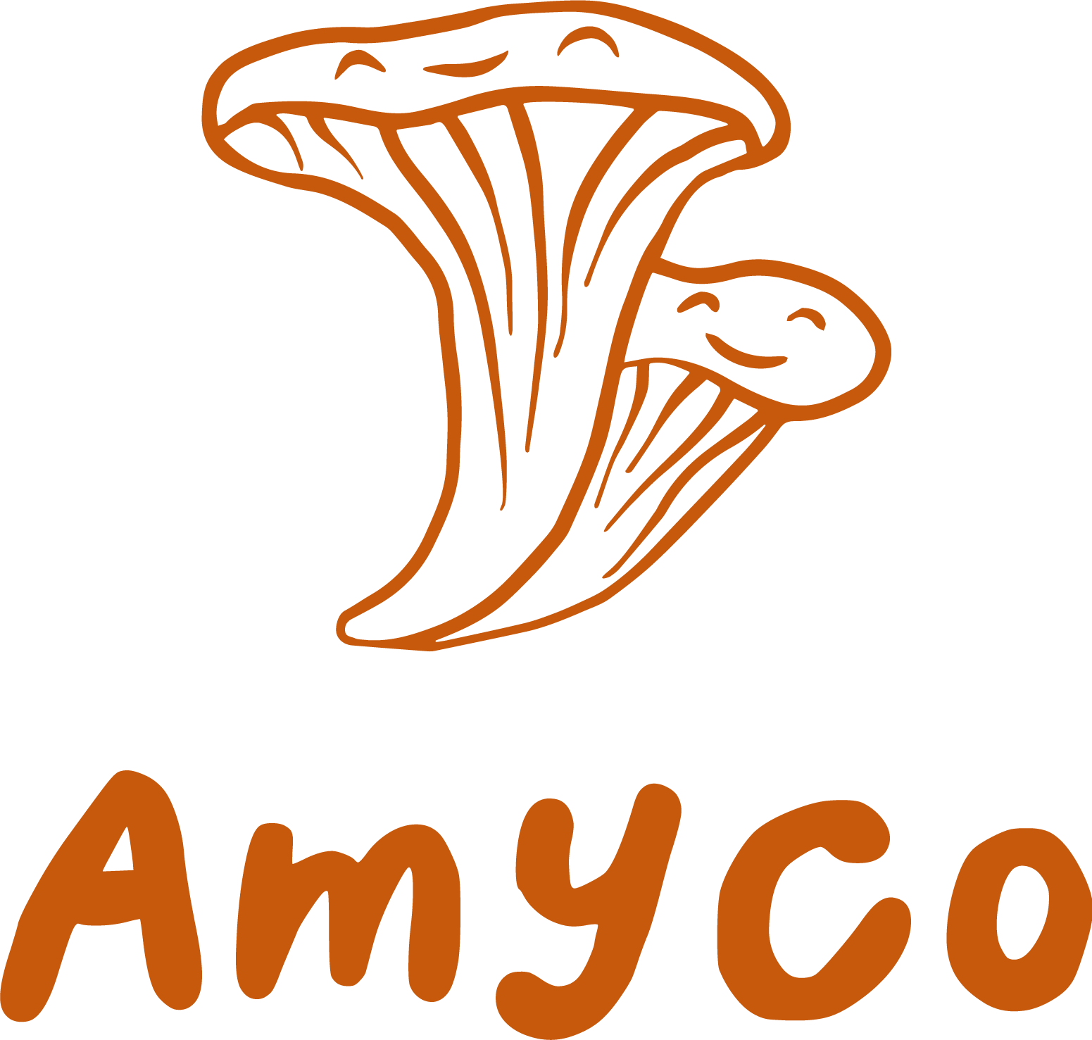 Amyco